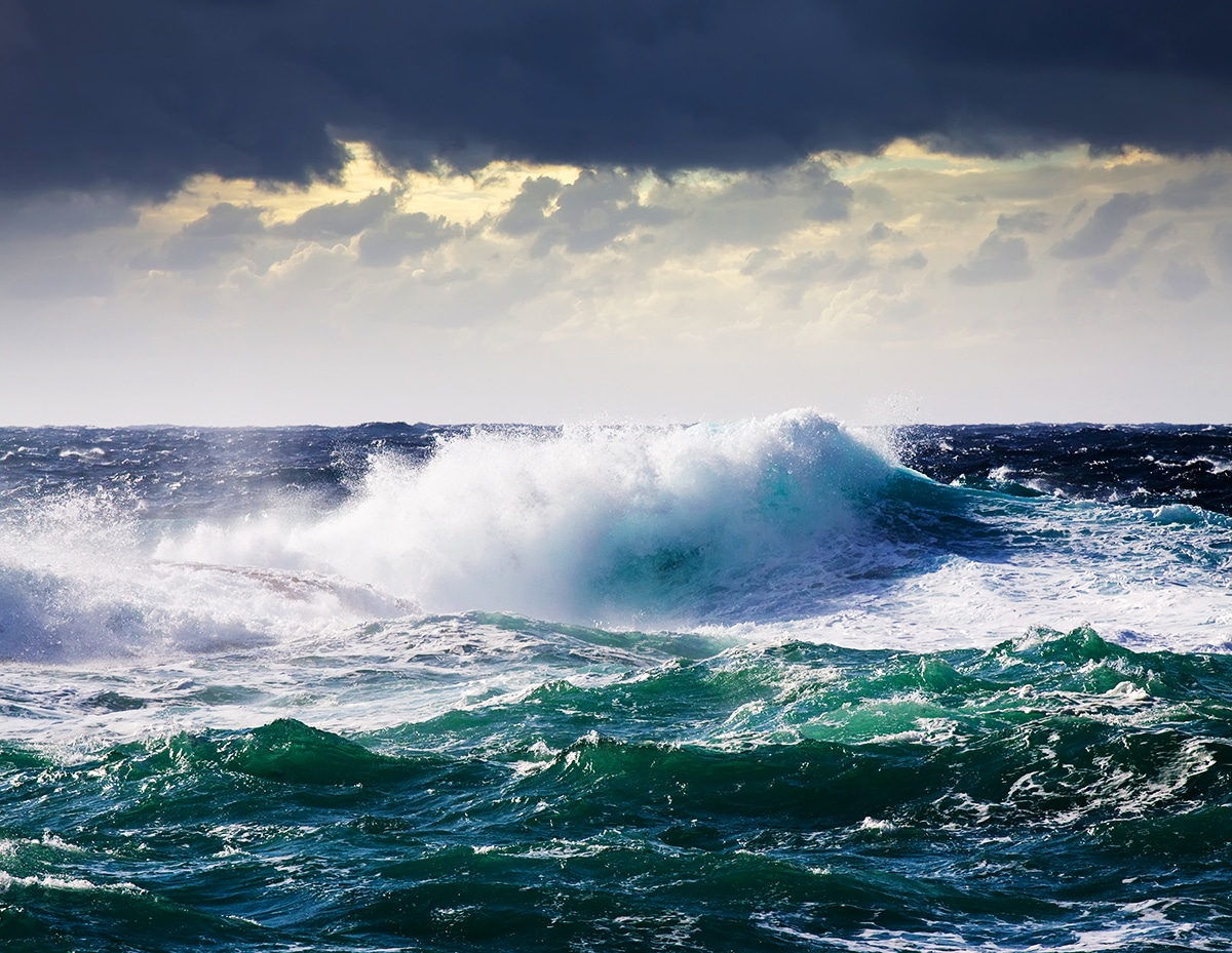 El fascinante mundo de los océanos y mares